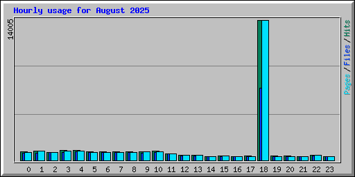 Hourly usage for August 2025